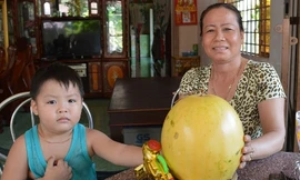 Chị Dương Thị Thủy và trái dưa hấu “lạ”