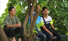 Cổ động viên trèo cây xem U19 Việt Nam tập luyện