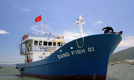 Công ty của ông Trần Văn Trí đề xuất được hỗ trợ vốn đóng mới, nhập tàu thép để giúp ngư dân đánh bắt, khai thác thủy hải sản và phục vụ nguồn nguyên liệu cho công ty. Ảnh minh họa: Nguyễn Đông