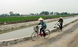 'Lật tung' các con đường nông thôn mới
