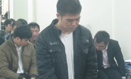 Lừa bán xe trả góp, giám đốc lĩnh 26 năm tù