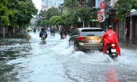 Ngập cục bộ, nhiều cây xanh gãy đổ tại Hải Phòng