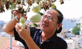 Đại gia thời trang mua đất Phú Mỹ Hưng trồng rau sạch