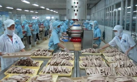 Nhiều cơ sở kinh doanh nông sản xếp loại C chưa bị xử lý 