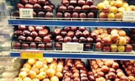 Táo New Zealand có màu đậm và nặng hơn so với táo Trung Quốc. Ảnh: Hồng Châu.