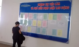 Lác đác người đến Trung tâm giới thiệu việc làm Đồng Nai, chủ yếu là xem thông tin