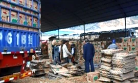 Dưa hấu xuất sang biên giới rồi vẫn bị loại và chê 