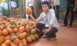 Anh Đạt đã từ bỏ nghiệp thi đấu quyền anh để về khởi nghiệp và làm giàu từ quả gấc. Ảnh: NVCC