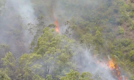 Núi Bà Hỏa bốc cháy dữ dội