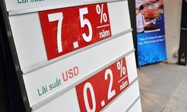 Lạm phát liên tục ở mức thấp những năm gần đây cũng là cơ sở để có được mặt bằng lãi suất như hiện nay, hay góp phần tạo nên khả năng tự bơi của nó.