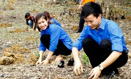 Tình nguyện trồng rừng, tặng 'Đàn gà khăn quàng đỏ'