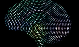 Mỹ phát triển chip cấy trong não người