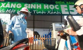 Petrolimex ngưng bán xăng RON 92, thay bằng xăng sinh học tại Quảng Ngãi từ 1/9.