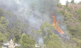 Đốt nhang viếng mộ, hàng chục ha rừng bị cháy 