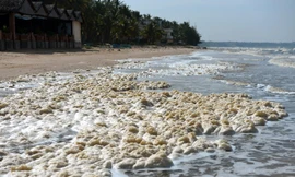 'Thủy triều đỏ' tấn công các resort ven biển Mũi Né