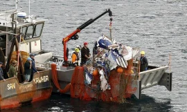 Xác chiếc máy bay được phát hiện gần thành phố Auckland. Ảnh: AP