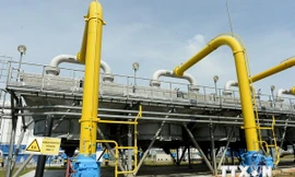 Ảnh minh họa. Nguồn:THX/TTXVN