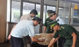 Số tổ yến vận chuyển bị cơ quan chức năng thu giữ