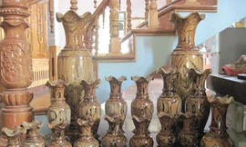 Đào ‘nghĩa địa’ tìm báu vật gỗ mục thời tiền sử