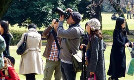 Du lịch ngắm hoa đang là lựa chọn yêu thích của nhiều người. Ảnh: Hà Anh