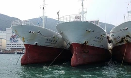 Chồng bà Diệu Hiền dọa bỏ VN, sang Indonesia đầu tư