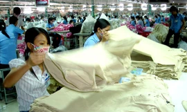 Dệt may Việt Nam chủ yếu làm gia công