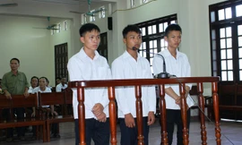 Ba bị cáo xin được hưởng án treo vì phạm tội do trêu gái