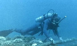 17 ngày nữa internet mới hoạt động bình thường