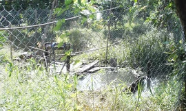 Ông Bùi Văn Bé chỉ tay vào khu vực bị rào chắn, được cho rằng là nơi có “kho báu” nằm sâu dưới lòng đất.