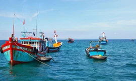 Tàu cá của ngư dân Quảng Ngãi