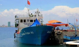 Tàu Sang Fish 01 về bờ sau 10 ngày đánh bắt vì liên tục gặp sự cố. Ảnh: Nguyễn Huy 