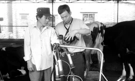 Đồng hành với 4.000 nông dân