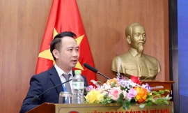 VFF thu vượt chỉ tiêu 70 tỷ đồng sau 9 tháng đầu năm 
