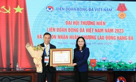 Những thành tích giúp VFF được tặng thưởng Huân chương Lao động hạng Ba 