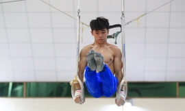 Phạm Phước Hiếu là em ruột của cựu tuyển thủ quốc gia nổi tiếng Phạm Phước Hưng.