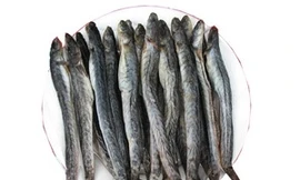 Cá kèo. Nguồn: Internet