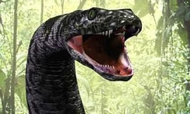 Quái vật rắn ăn thịt dài 15 mét