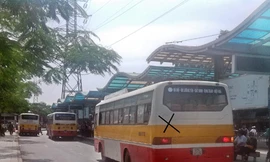 Buýt nhái 'đại náo' giữa Thủ đô