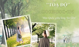 Tọa độ check-in: Con đường lá bay đẹp như bên Hàn, không thu phí lại có ảnh xịn xò mang về