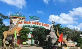 Xử phạt chủ đầu tư Khu du lịch sinh thái vi phạm đất đai và môi trường