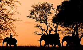 Bảo hiểm du lịch, có thể bạn chưa biết