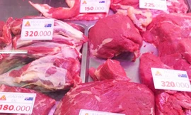 Thực hư chuyện bán phá giá bò Úc trong nước