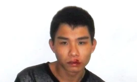 Vừa ra tù 'ngứa nghề' cướp giật