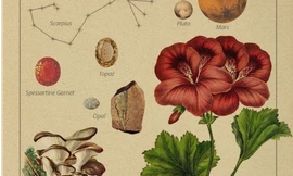 Lắng nghe thông điệp từ vũ trụ, khám phá biểu tượng thú vị về các chòm sao (Phần 2)