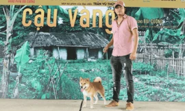 Đạo diễn phim Cậu Vàng xin lỗi công chúng sau vụ nhân viên chê khán giả nghèo hèn, ngu dốt