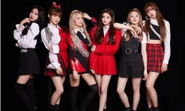 Nhân viên của Everglow dương tính với COVID-19, toàn bộ lịch trình của nhóm bị hủy bỏ