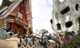 Ngày Quốc tế về Rừng: Trải nghiệm 5 ngôi nhà cây “độc nhất vô nhị” ở Việt Nam