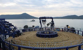 Phú Quốc: Hết thời 'điện đóm phập phù'