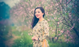 'Họa mi' Phạm Thu Hà lộng lẫy giữa vườn đào Hà Nội