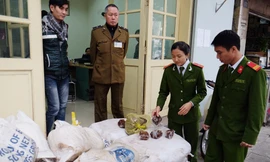 Lực lượng chức năng kiểm tra hàng hóa.